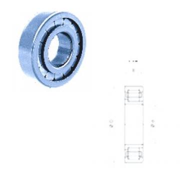75 mm x 130 mm x 25 mm  Fersa NJ215F/C3 cylindrical roller bearings