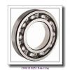 200 mm x 310 mm x 51 mm  FAG N1040-K-M1-SP cylindrical roller bearings #1 small image